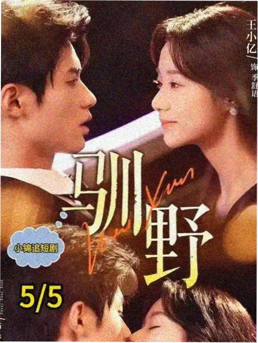 美剧回声档案室海报